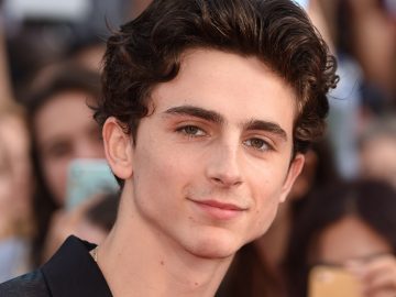 herec, MCU, Marvel, Timothée Chalamet, herci, ktorí odmietli úlohu v MCU