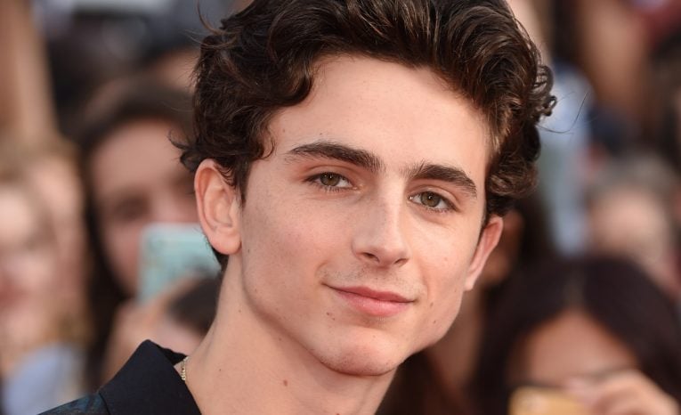 herec, MCU, Marvel, Timothée Chalamet, herci, ktorí odmietli úlohu v MCU