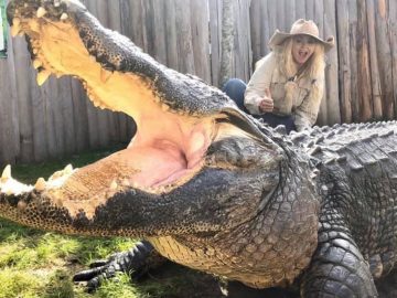 Savannah Boan, Gatorland Global Conservation, ošetrovateľka, krokodíl, aligátor, milostný život, vzťah, muži