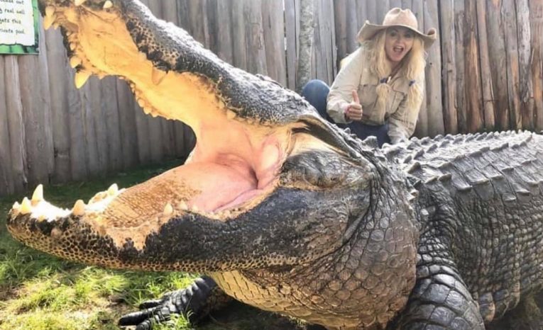 Savannah Boan, Gatorland Global Conservation, ošetrovateľka, krokodíl, aligátor, milostný život, vzťah, muži