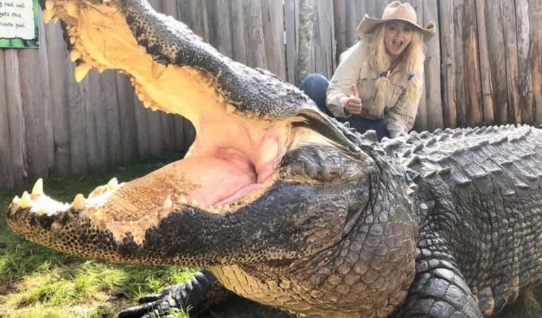 Savannah Boan, Gatorland Global Conservation, ošetrovateľka, krokodíl, aligátor, milostný život, vzťah, muži