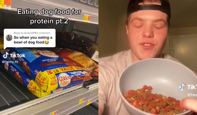 psie krmivo, granuly pre psa, Pedigree, trend, TikTok, svaly, proteín