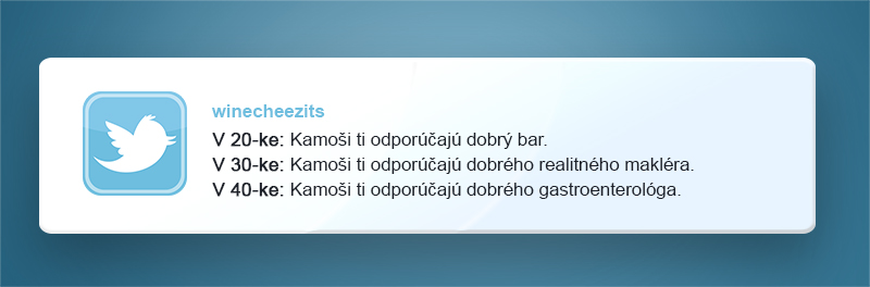 zábava, Twitter, vtipné príspevky na internete, život, životná etapa, humor