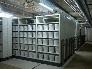 sklad, ľudský mozog, Denmark's Brain Collection