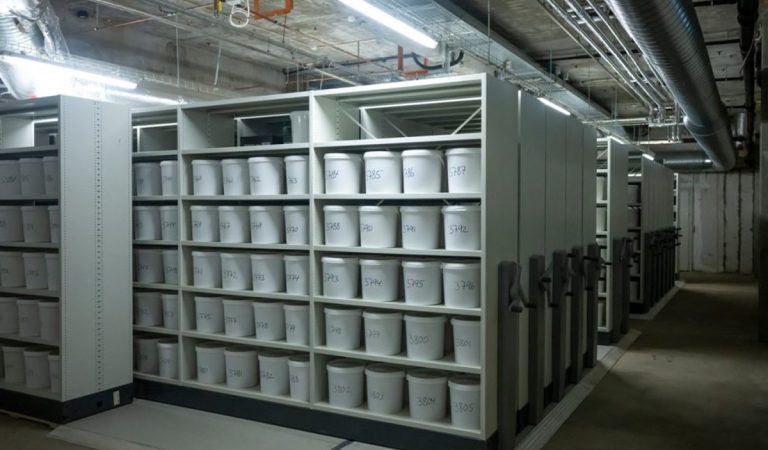 sklad, ľudský mozog, Denmark's Brain Collection