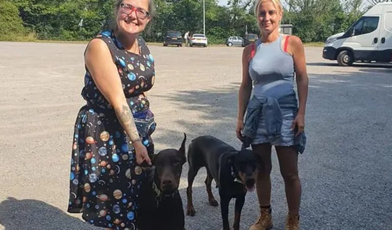 Lucy Humphrey, doberman, pes, darca obličky, lupus