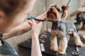 „Ten psychický tlak ma zlomil.“ Dôvody, prečo ľudia nadobro sekli so svojou prácou snov