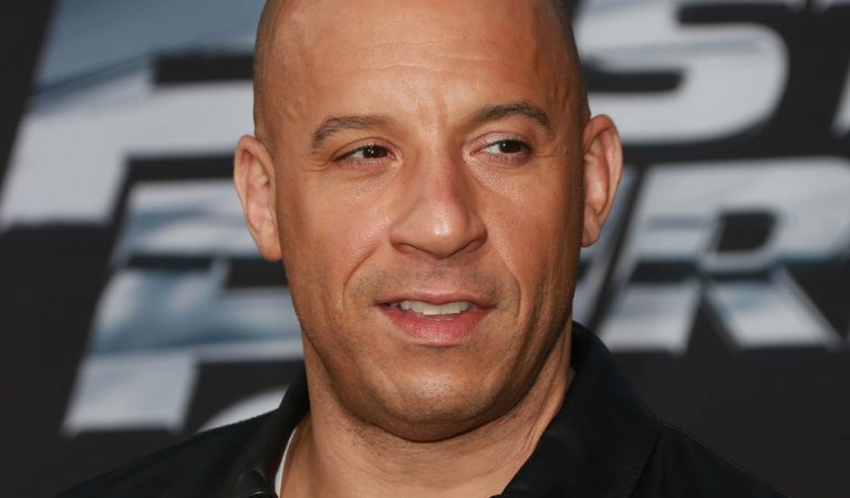 Rýchlo a zbesilo, Vin Diesel, pokračovanie