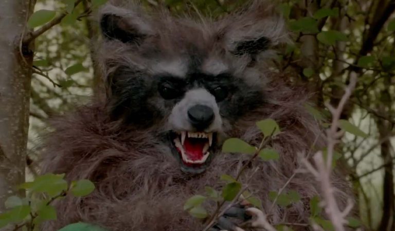 Crackcoon, medvedík čistotný, trailer, pragát