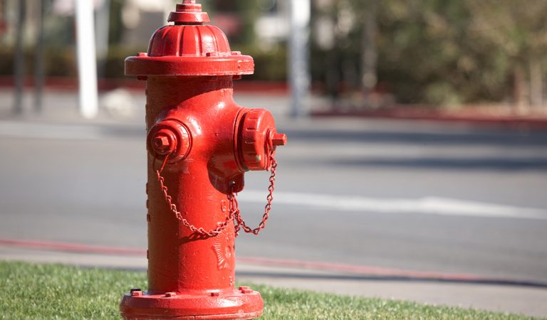 Prečo je toaletný papier biely? 10 vysvetlení farebných schém používaných v bežnom živote