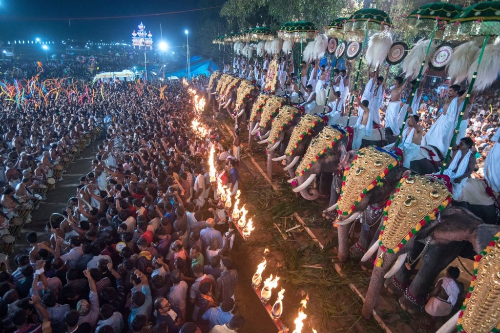 slon, India, turizmus, týranie zvierat