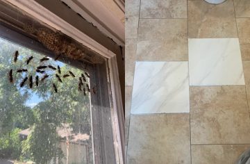 Tečúci radiátor aj zamaľovaný šváb. Títo majitelia bytov majú komfort podnájomníkov v paži