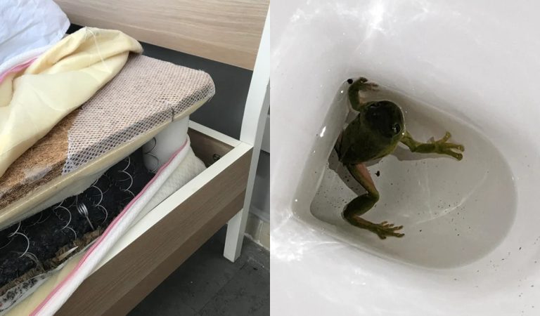 ubytovanie, Airbnb, fail