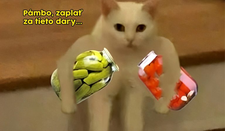 TOP 10 memes, ktoré vás bavili minulý týždeň najviac #85