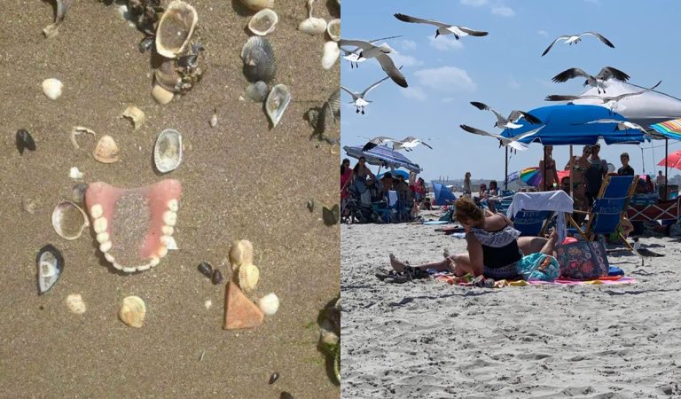 20 ľudí, ktorí si chceli užiť slnečný deň na pláži, no nebolo im dopriate