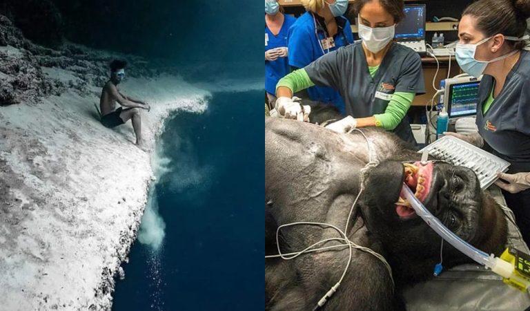 20 fotografií ktoré ti spôsobia úzkosť