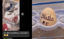 život so spolubývajúcimi
