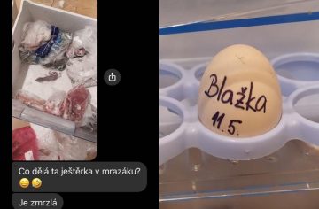 Život so spolubývajúcimi je skrátka boj. Tento český profil ti to svojimi zábermi dokáže