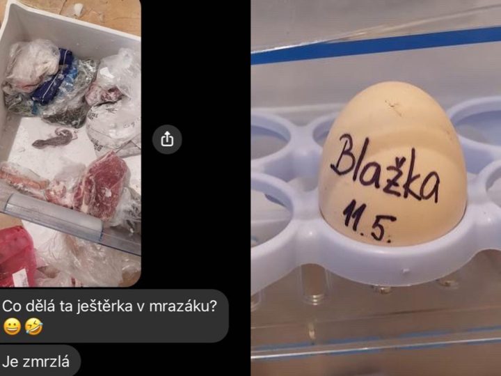 život so spolubývajúcimi