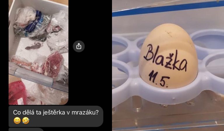 život so spolubývajúcimi