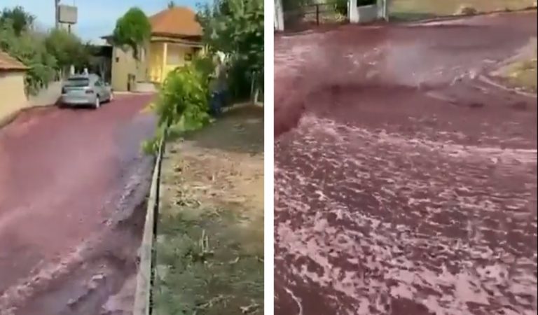 Poškodené nádrže spôsobili potopu. Ulicami Portugalska sa valilo červené víno