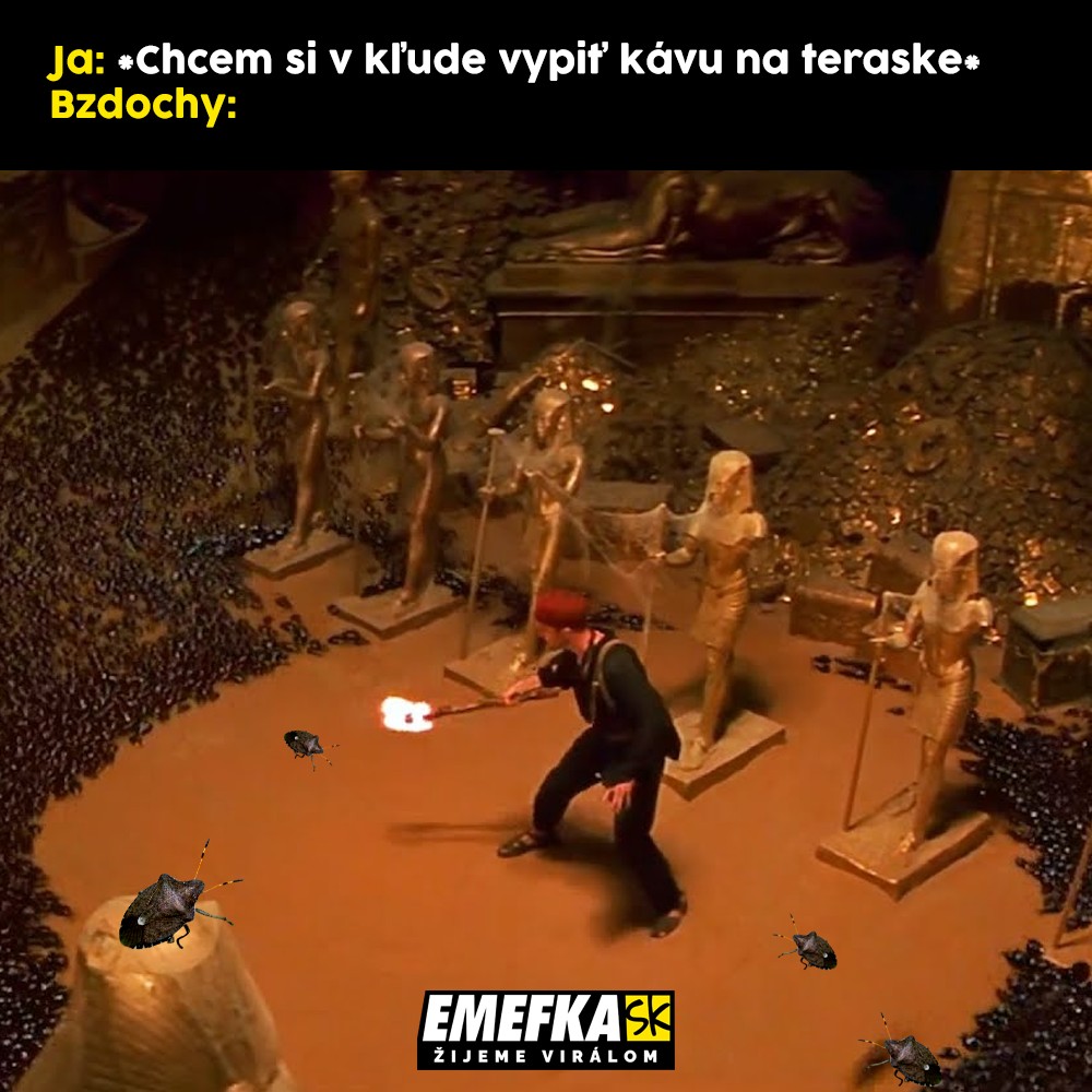 TOP memes za posledný týždeň, zábava, humor