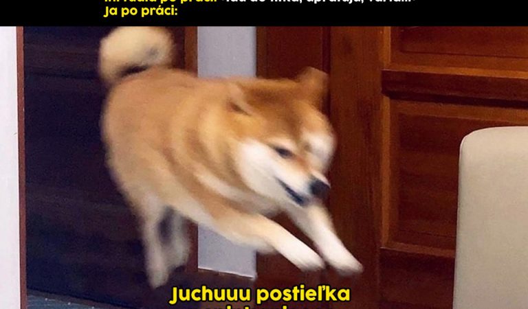 TOP 10 memes, ktoré vás bavili minulý týždeň najviac #96