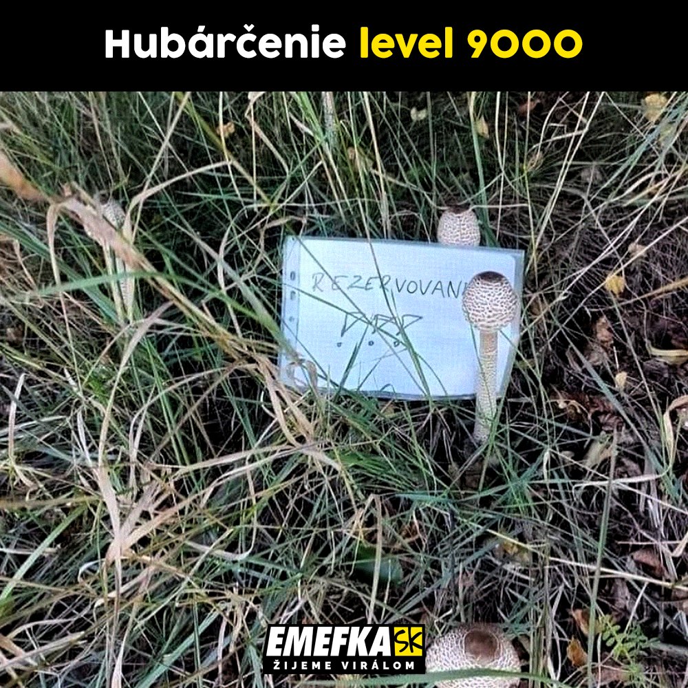 TOP memes, najlepšie memes za posledný týždeň, humor, zábava