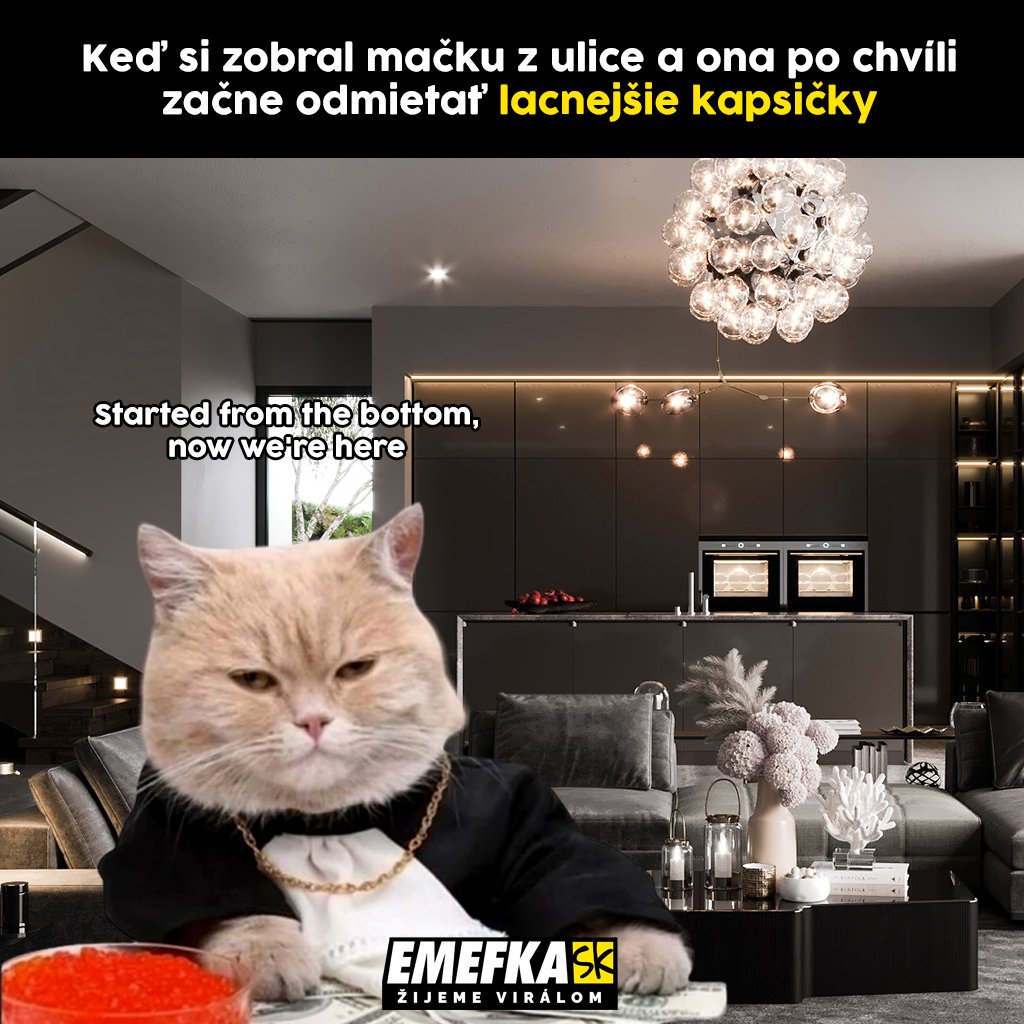 TOP memes, zábava, humor