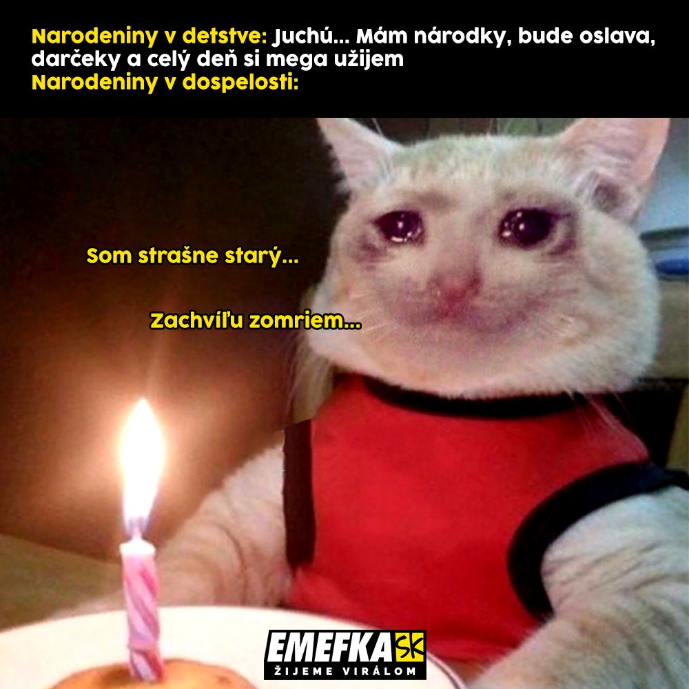 TOP memes, zábava, humor