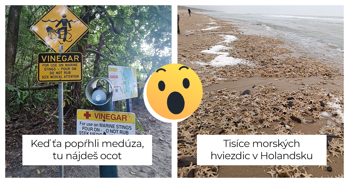 20 zaujímavých vecí, na ktoré ľudia natrafili na pláži - Emefka.sk