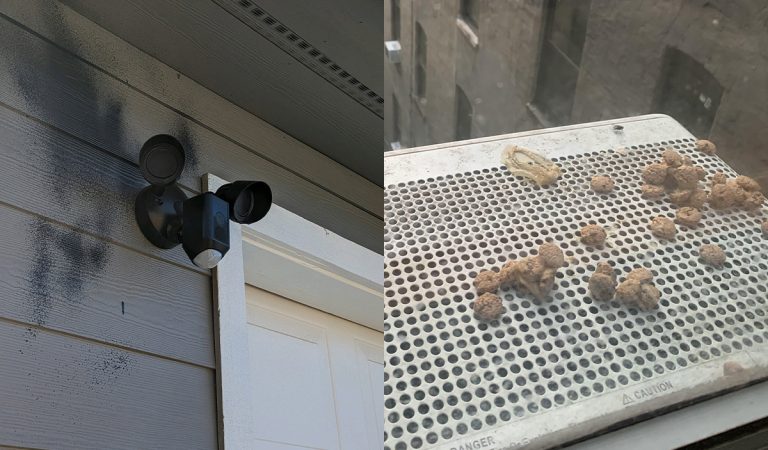 20 susedov priamo z pekla, ktorí si koledujú o niečo veľmi zlé