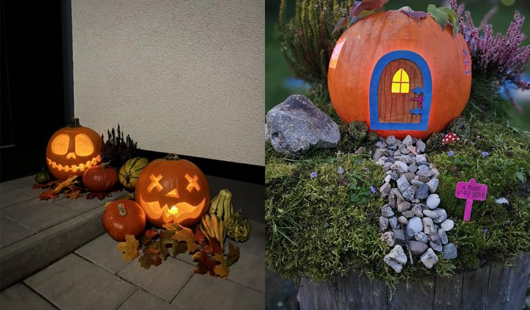 Slováci nám ukázali svoje tekvice, ktoré im včera spríjemňovali Halloween