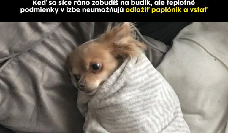 TOP 10 memes, ktoré vás bavili minulý týždeň najviac #102