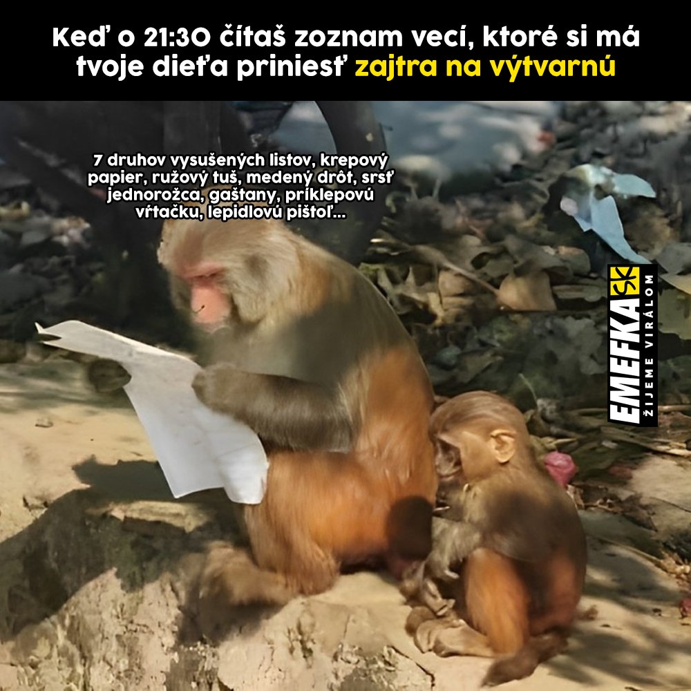 TOP memes, zábava, humor