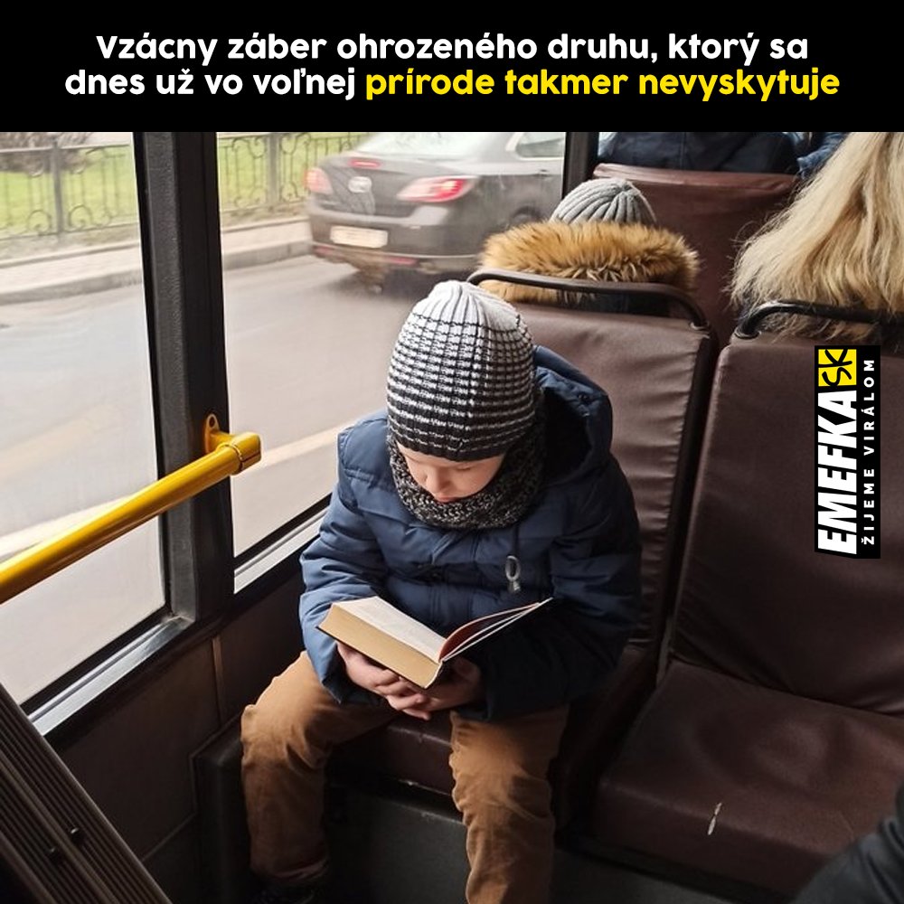 TOP memes, zábava, humor