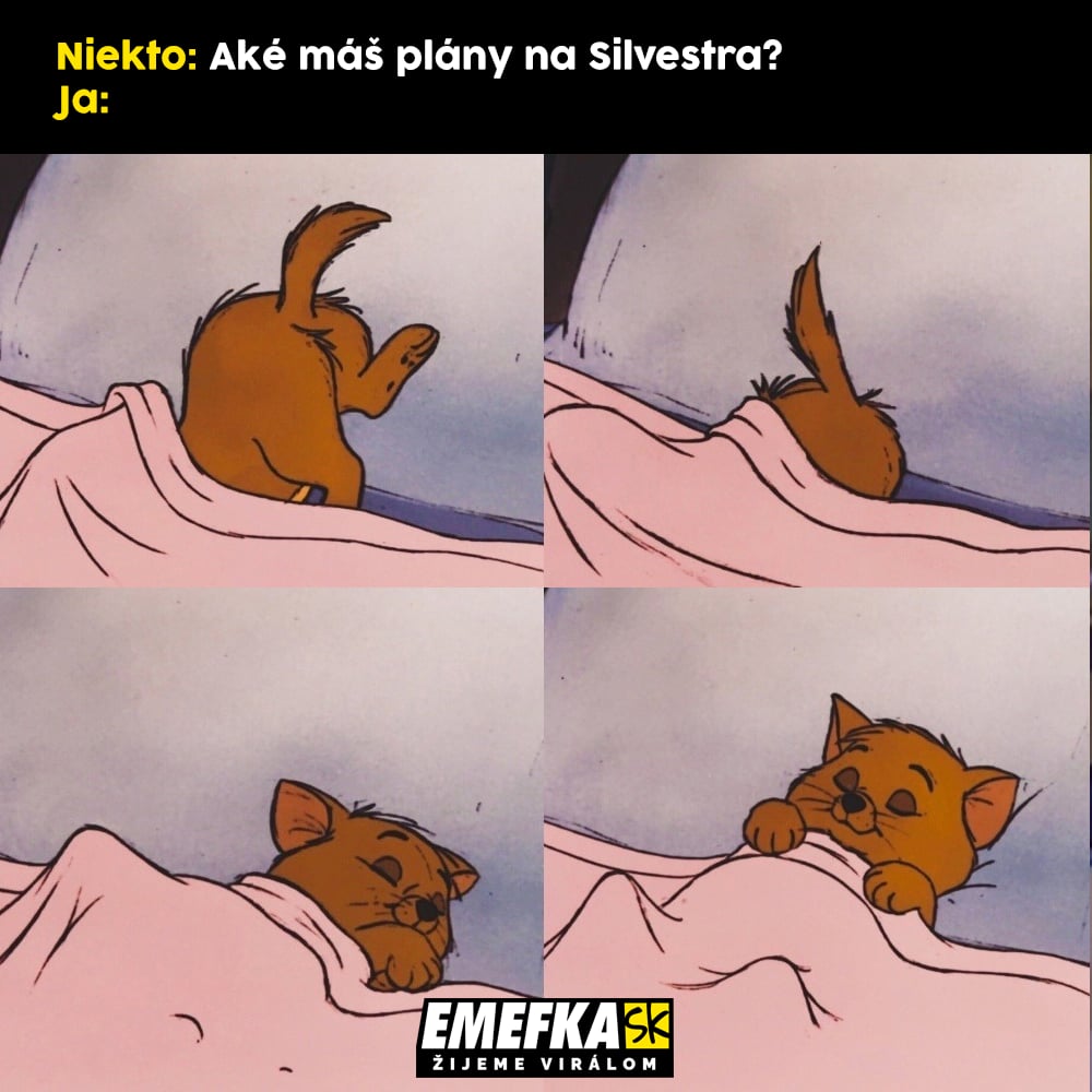 zábava, humor, TOP memes