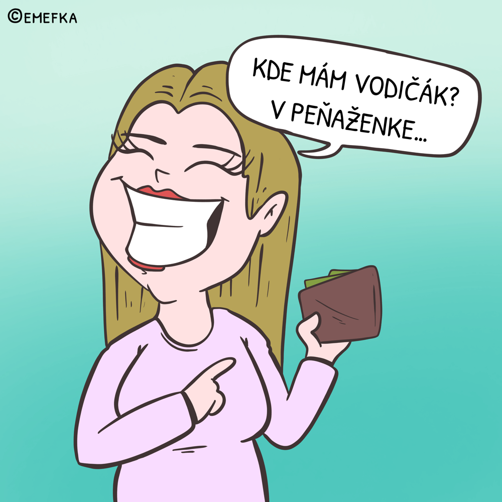 šofér, vodič, vodičský preukaz, humor, zábava, komiks, ilustrácia