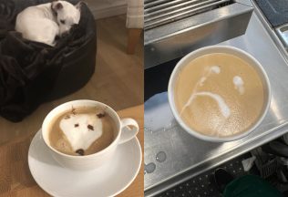 20 ľudí, ktorí zistili, že latte art nie je taký jednoduchý, ako sa zdá