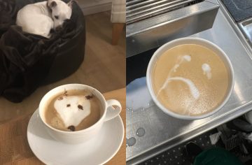 Naozaj je to umenie. Týchto 20 ľudí vyskúšalo latte art a zlyhali na plnej čiare