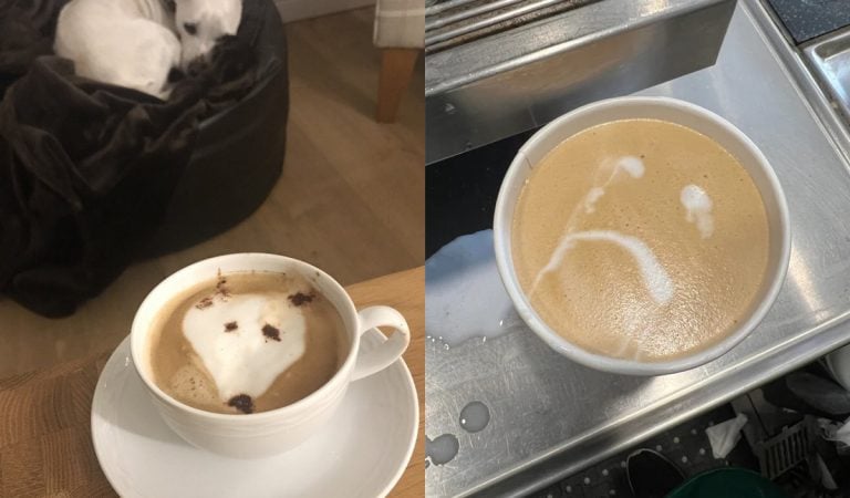 20 ľudí, ktorí zistili, že latte art nie je taký jednoduchý, ako sa zdá