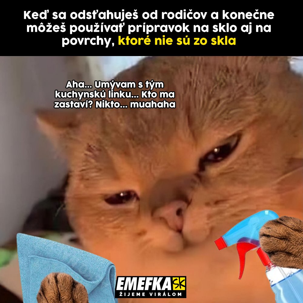 TOP 10 memes, ktoré vás bavili minulý týždeň najviac #112