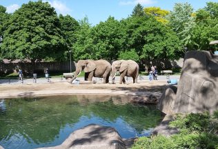 Tie najhoršie veci, ktoré sa kedy stali v zoologických záhradách