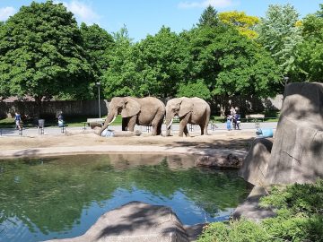 Tie najhoršie veci, ktoré sa kedy stali v zoologických záhradách