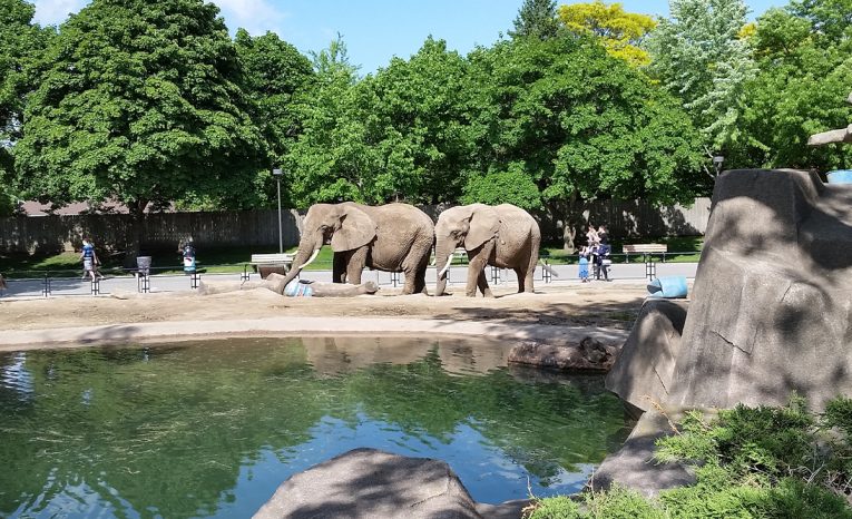 Tie najhoršie veci, ktoré sa kedy stali v zoologických záhradách