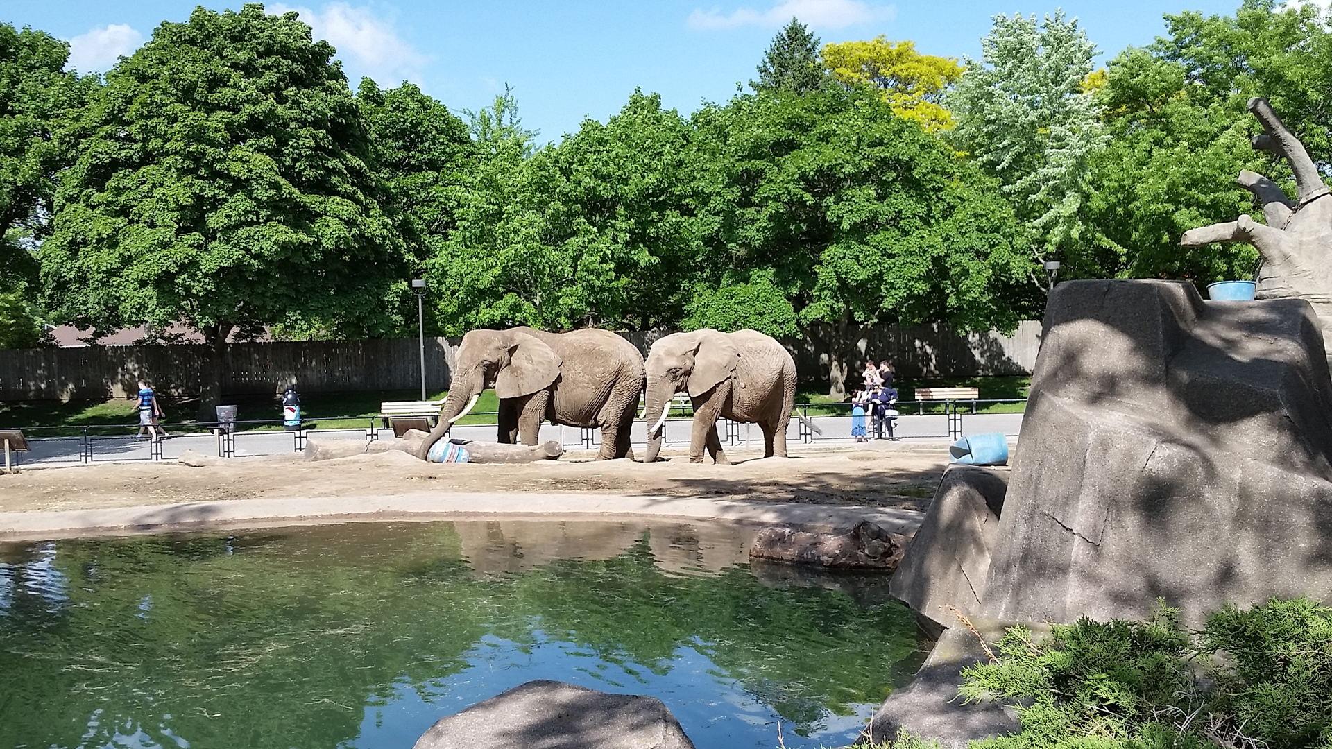 Tie najhoršie veci, ktoré sa kedy stali v zoologických záhradách