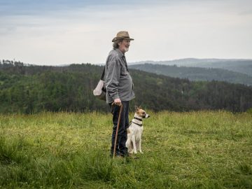 Obľúbený zvierací hrdina sa vracia. Gump: Sme dvojka láka na príjemný rodinný zážitok