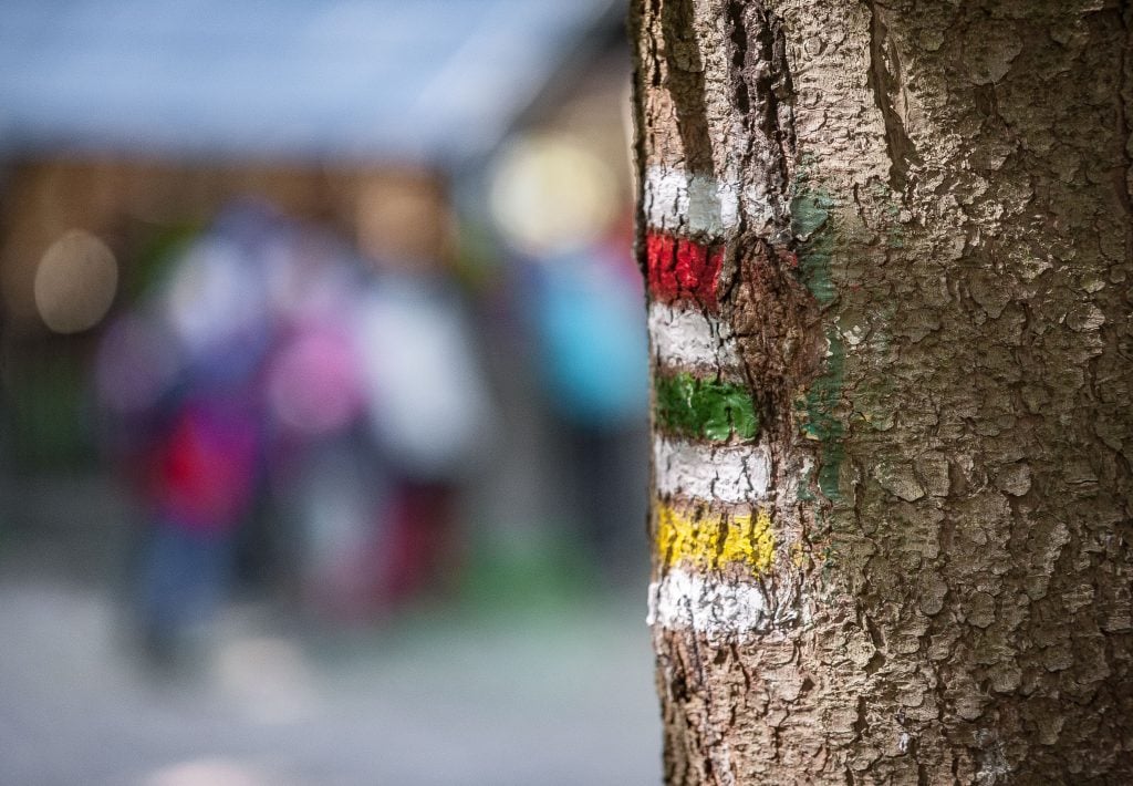 Farebné turistické značky sú známym symbolom. Napriek tomu, že ich pozná každý, len málo ľudí vie, že konkrétna použitá farba má svoj význam