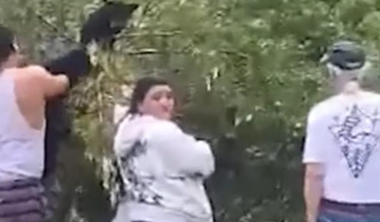 Títo ľudia spravili presne to, čo robiť nemali. Zniesli zo stromu medvieďa aby sa s nim odfotili
