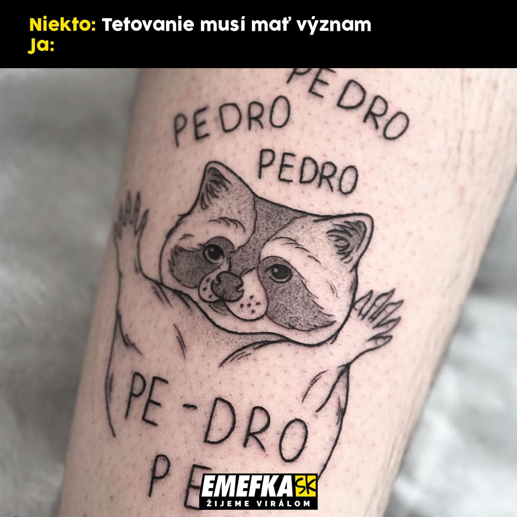 Je tu ďalšia epizóda seriálu 10 najlepších memes uplynulého týždňa. Na začiatku každého týždňa vás čaká zhrnutie memes z produkcie EMEFKA.